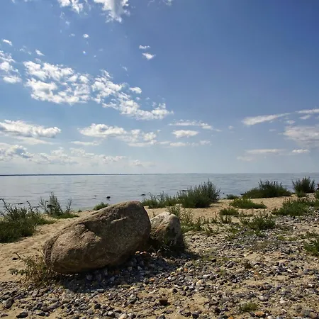 Rügenreif - Nr 04 *