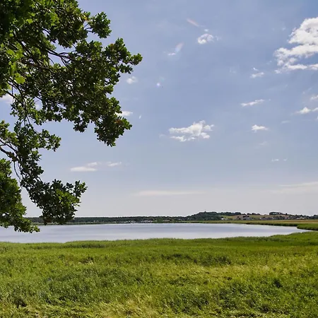 Rügenreif - Nr 04 * Klein Zicker